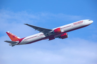 Air India flight returns to Delhi after bat discovered in business class |  The Independent